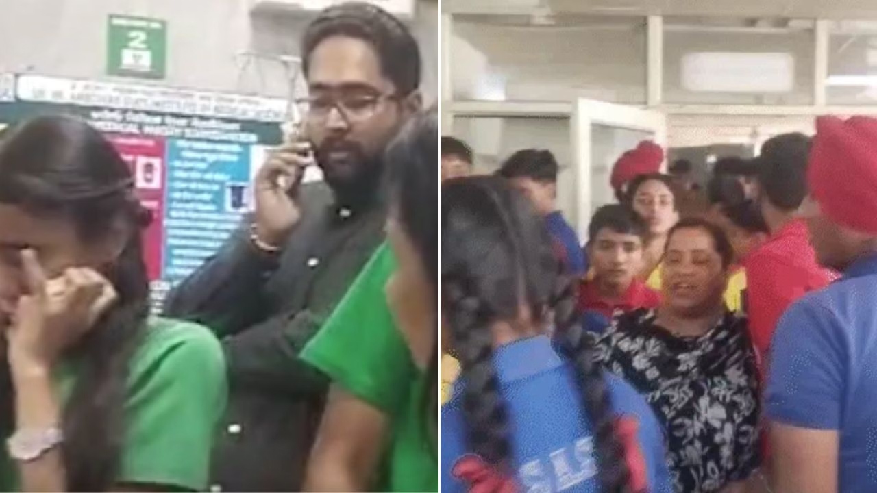 Forty Children were Injured in a Bee Attack at a Mohali School, with the School Accused of Concealing the Truth